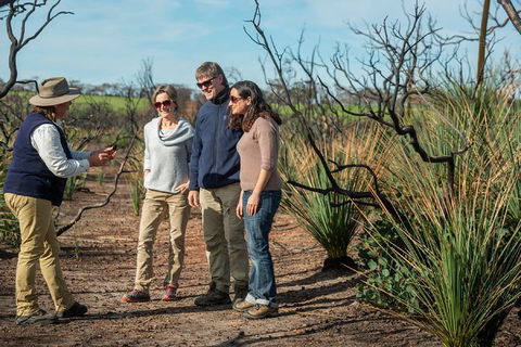 NEW TOUR - Kangaroo Island Road To Recovery Tour (1 Day/1 Night) - Dalby Accommodation 4