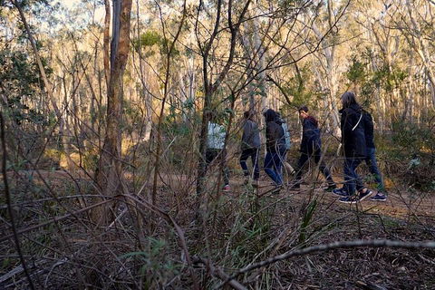 Wild Australian Wildlife 4WD Tour From Sydney - Dalby Accommodation 0
