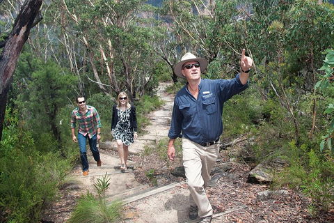 Small-Group Blue Mountains Tour With Bush Walks And Featherdale Wildlife Park - Dalby Accommodation 0