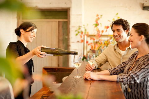 Mornington Peninsula Winery Tours With Cheese, Chocolate Tastings From Melbourne - Dalby Accommodation 2