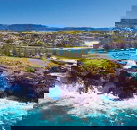 Sydney Wine Tour  Wine Waves  Wildlife in South Coast - Dalby Accommodation
