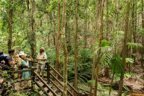 Fraser Explorer K'gari 2-Day Tour - Dalby Accommodation 5