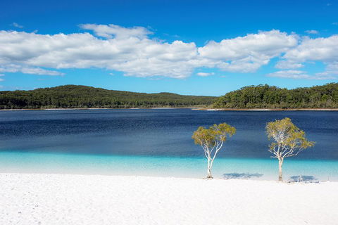 All-Inclusive Fraser Island Day Tour - Dalby Accommodation 3
