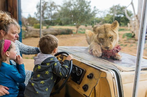 Werribee Open Range Zoo General Admission Ticket - Dalby Accommodation 4