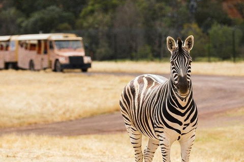 Werribee Open Range Zoo General Admission Ticket - Dalby Accommodation 5