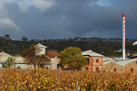 Penfolds Magill Estate Iconic Experience - Dalby Accommodation 3