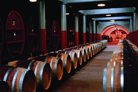 Penfolds Magill Estate Iconic Experience - Dalby Accommodation 4