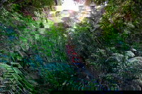 Private Blue Mountains Tour, Sydney