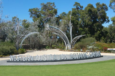 Very Best Of Perth Tour - Wildlife Park & City Highlights Tour - Dalby Accommodation 0