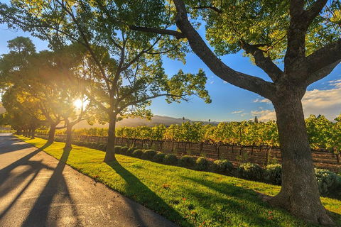 Very Best Of Perth Tour - Wildlife Park & City Highlights Tour - Dalby Accommodation 2