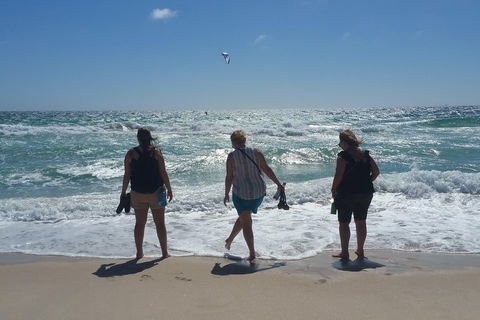 Very Best Of Perth Tour - Wildlife Park & City Highlights Tour - Dalby Accommodation 5