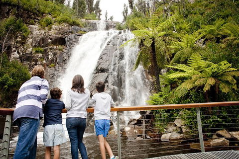 Lake Mountain Snow Trip Including Yarra Valley Chocolaterie From Melbourne - Dalby Accommodation 0