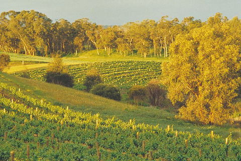 Swan Valley Private Tour - Dalby Accommodation 2