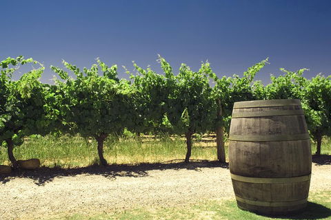 Swan Valley Private Tour - Dalby Accommodation 4