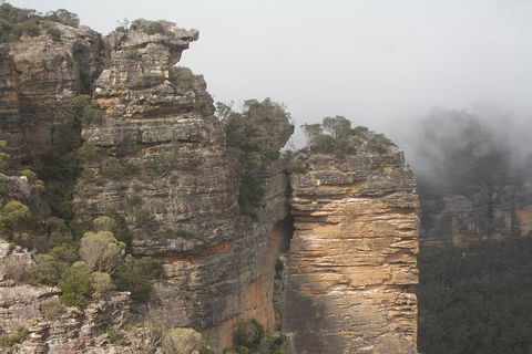 Private Blue Mountains Tour With Expert Guide - Dalby Accommodation 5