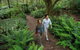 Great Ocean Road Full Coastal Tour - 3 Days, 2 Nights - thumb 4