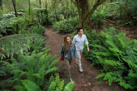 Great Ocean Road Full Coastal Tour - 3 Days, 2 Nights - Dalby Accommodation 4