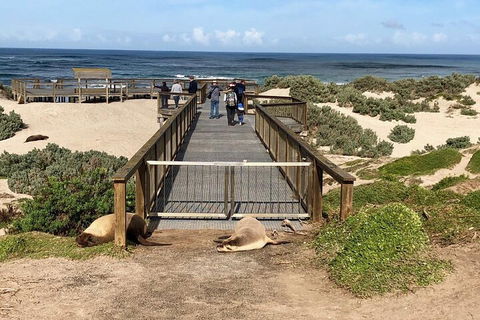 Kangaroo Island 4WD Tour - Best Of KI - Dalby Accommodation 2