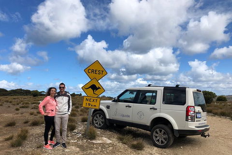 Kangaroo Island 4WD Tour - Best Of KI - Dalby Accommodation 5