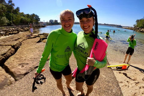 Manly Snorkel Trip And Nature Walk With Local Guide - Dalby Accommodation 1