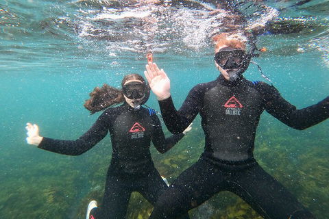 Manly Snorkel Trip And Nature Walk With Local Guide - Dalby Accommodation 3