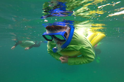 Manly Snorkel Trip And Nature Walk With Local Guide - Dalby Accommodation 5
